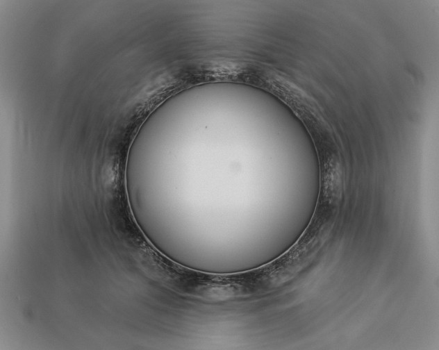 X0000113360608200909291031