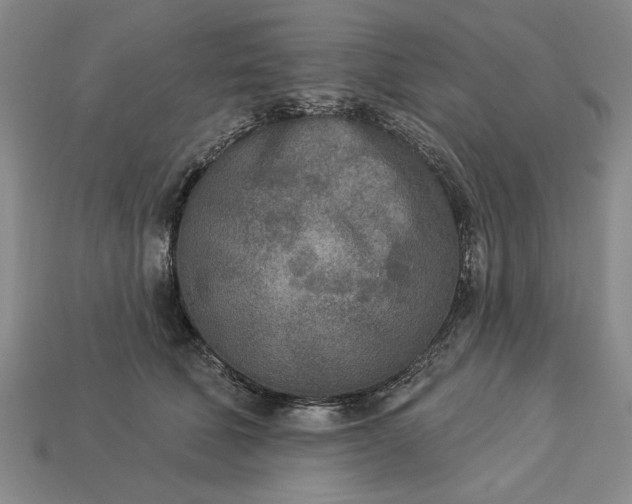 X0000113360610200909291031