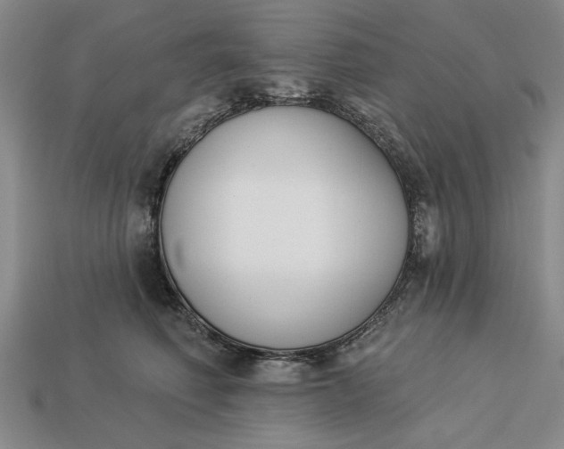 X0000113360614200909291031