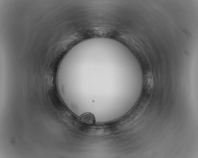 X0000113360615200909291031