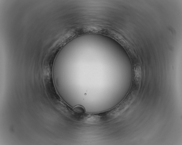 X0000113360617200909291031