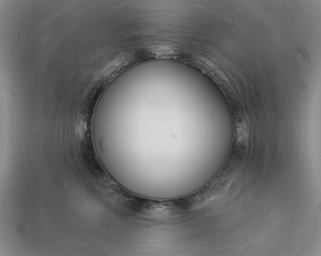 X0000113360618200909291031