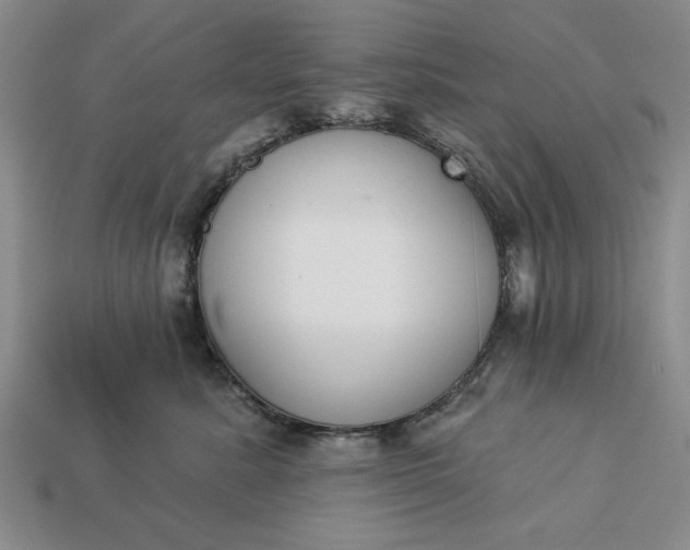 X0000113360619200909291031