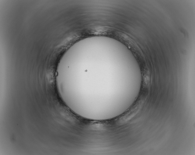 X0000113360620200909291031