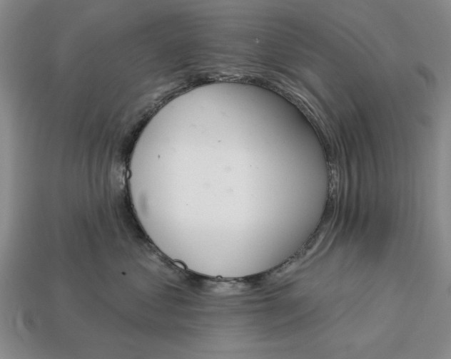 X0000113360621200909291031