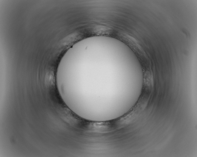 X0000113360622200909291031