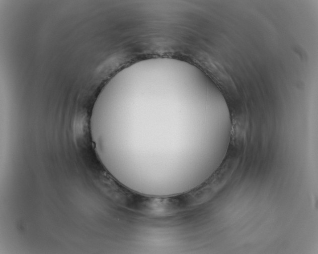 X0000113360623200909291031