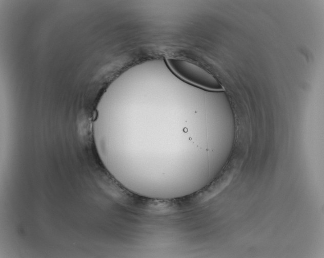 X0000113360624200909291031