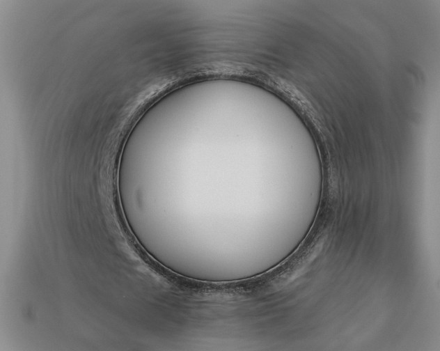 X0000113360625200909291030