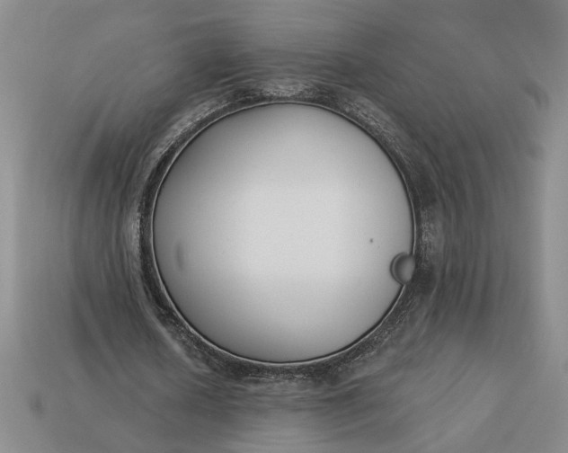 X0000113360626200909291031