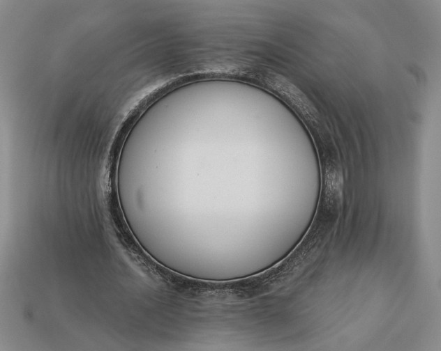 X0000113360628200909291031