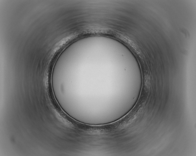 X0000113360629200909291031