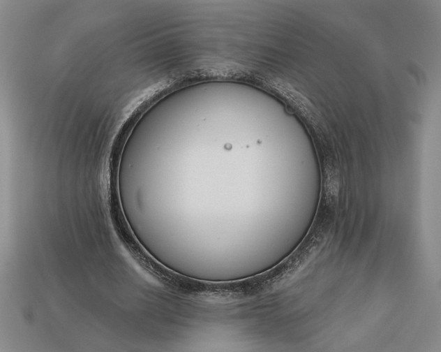 X0000113360630200909291031