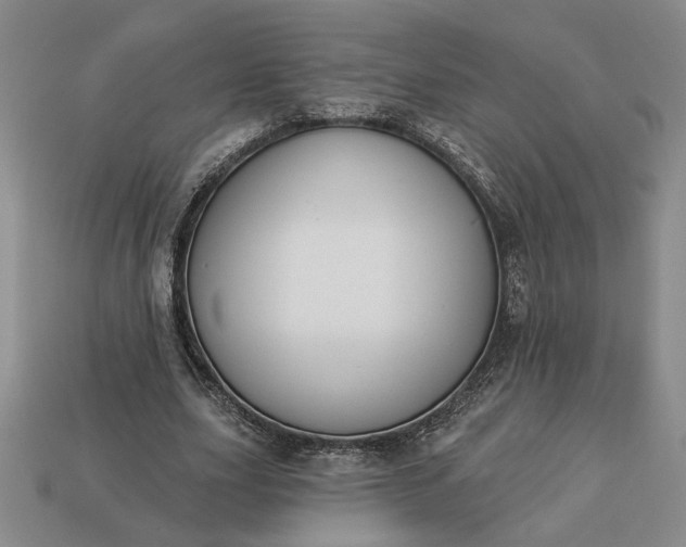 X0000113360631200909291031