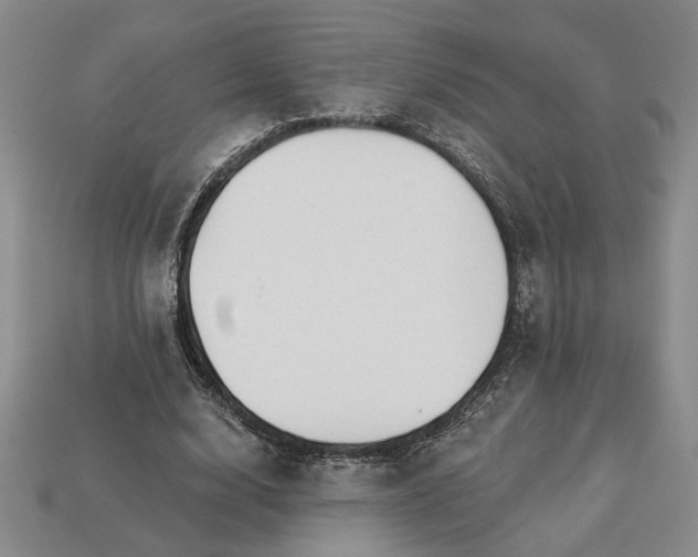 X0000113360632200909291031