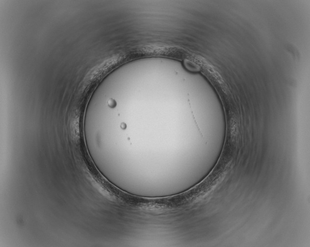 X0000113360633200909291031