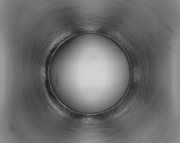 X0000113360634200909291031