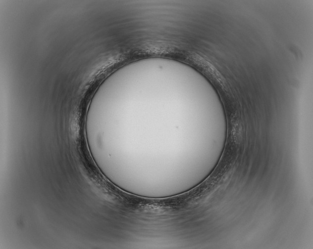 X0000113360635200909291031