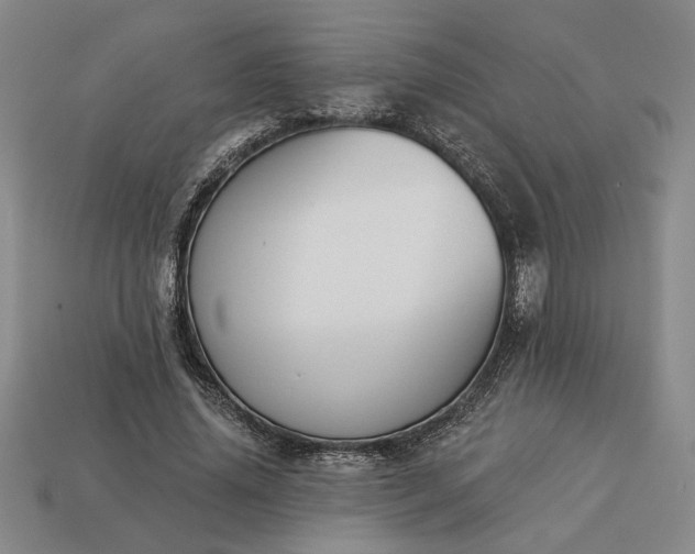 X0000113360636200909291031