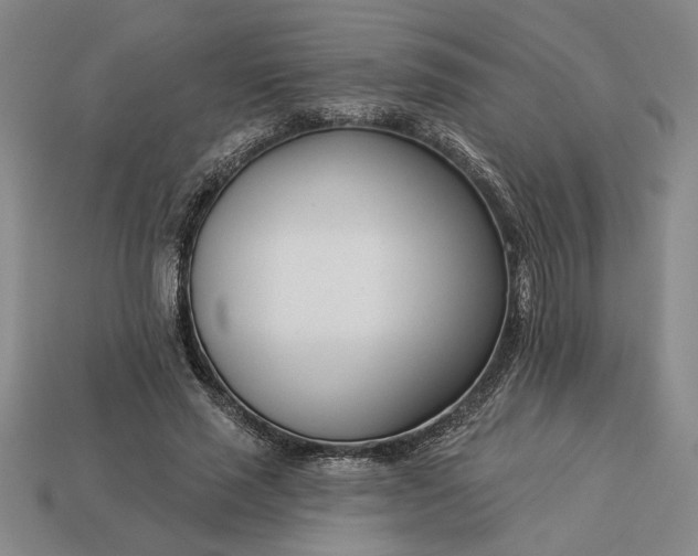 X0000113360637200909291031