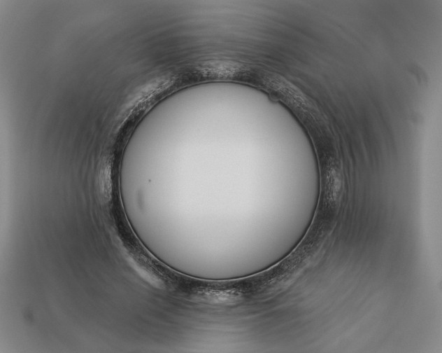 X0000113360638200909291031