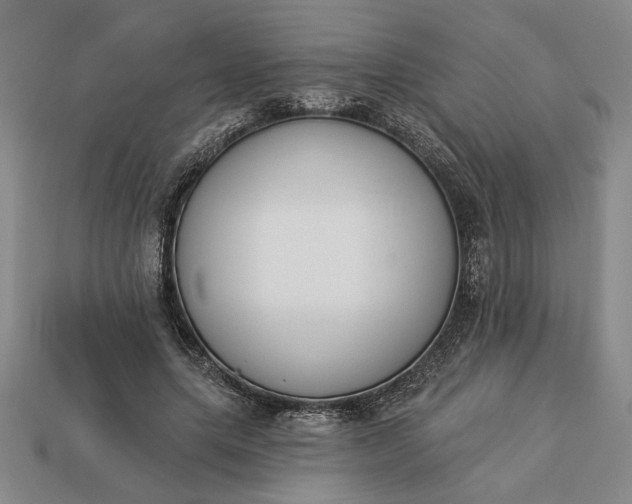 X0000113360639200909291031