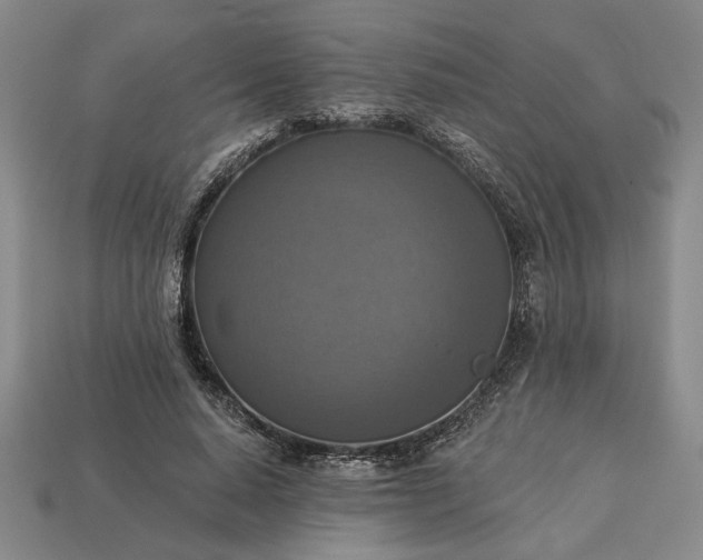 X0000113360640200909291031