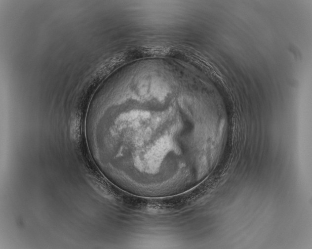 X0000113360641200909291031