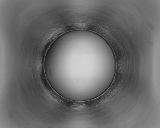 X0000113360642200909291031