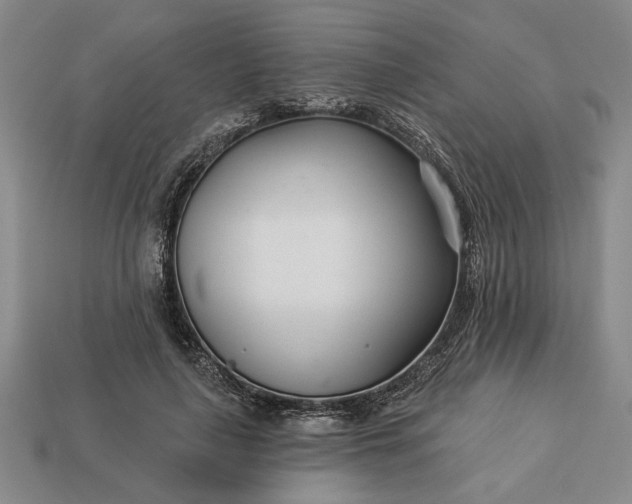 X0000113360643200909291031