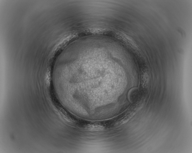 X0000113360644200909291031