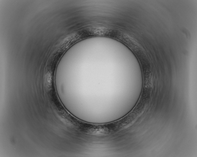 X0000113360646200909291031