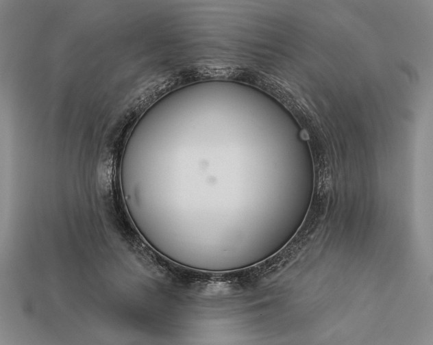 X0000113360647200909291031