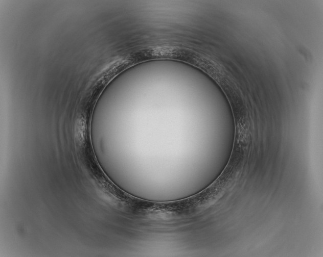 X0000113360648200909291031