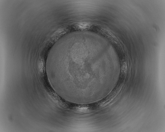 X0000113360651200909291031