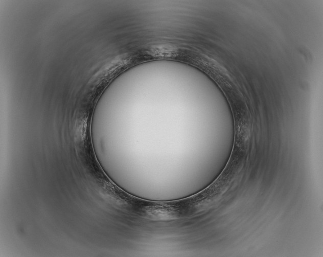 X0000113360652200909291031