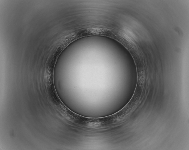 X0000113360653200909291031