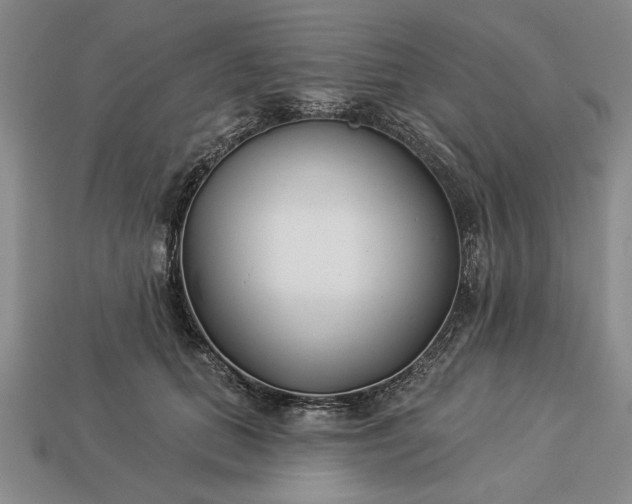 X0000113360655200909291031