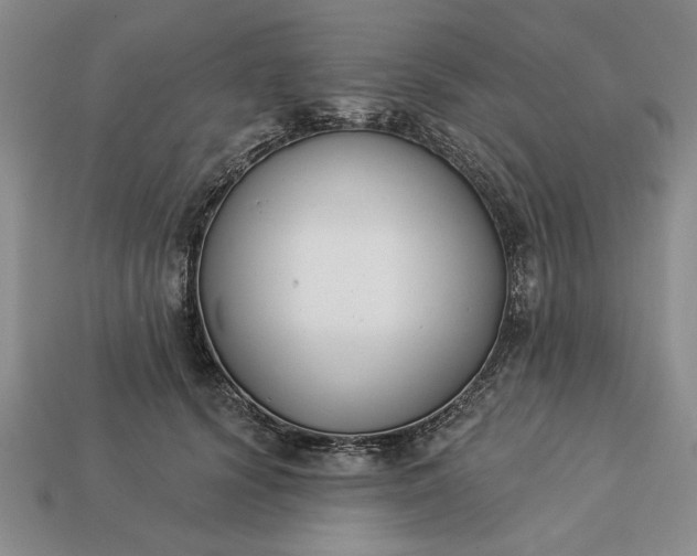 X0000113360656200909291031