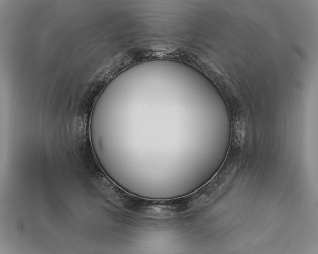 X0000113360657200909291031