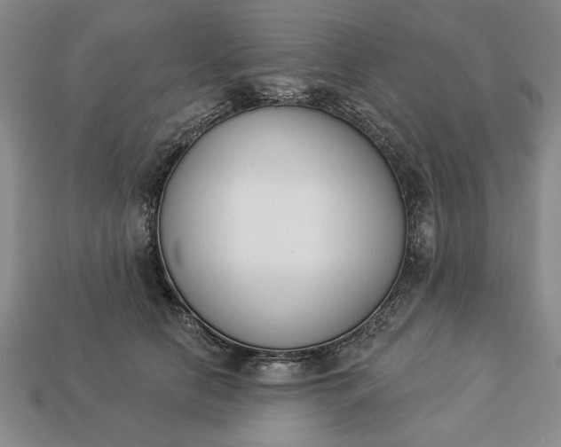 X0000113360658200909291031