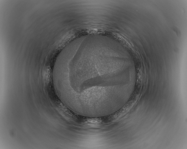 X0000113360659200909291031