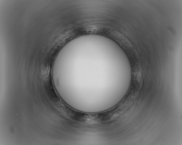 X0000113360660200909291031