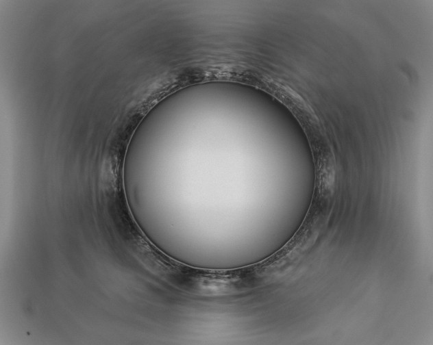 X0000113360661200909291031