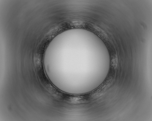 X0000113360662200909291031