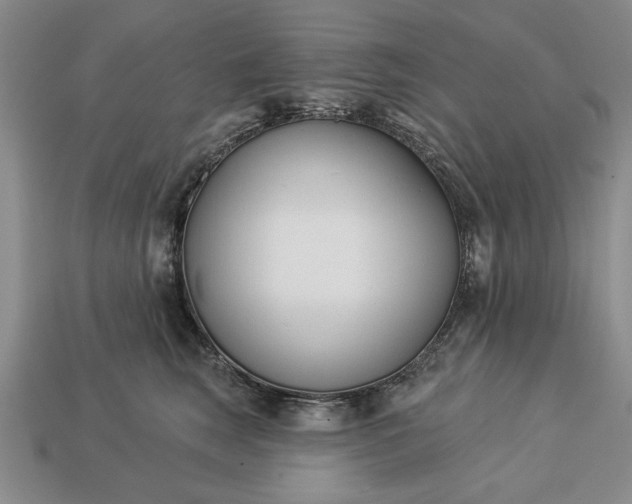 X0000113360663200909291031