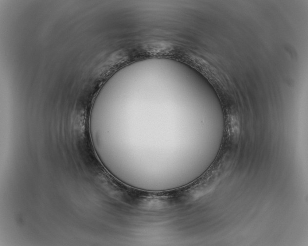 X0000113360664200909291031