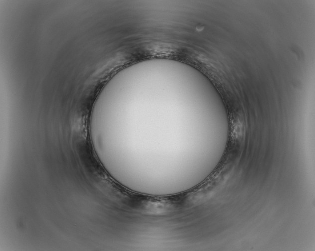 X0000113360666200909291031