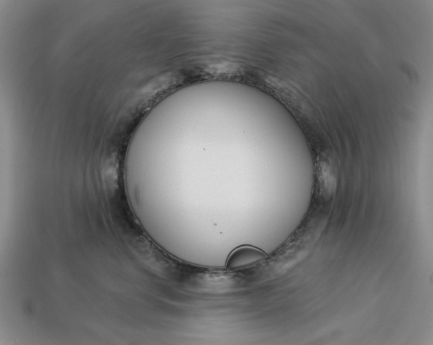 X0000113360668200909291031