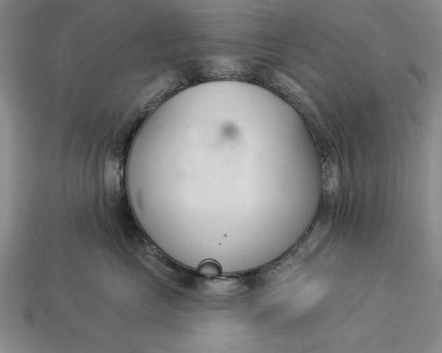 X0000113360669200909291031